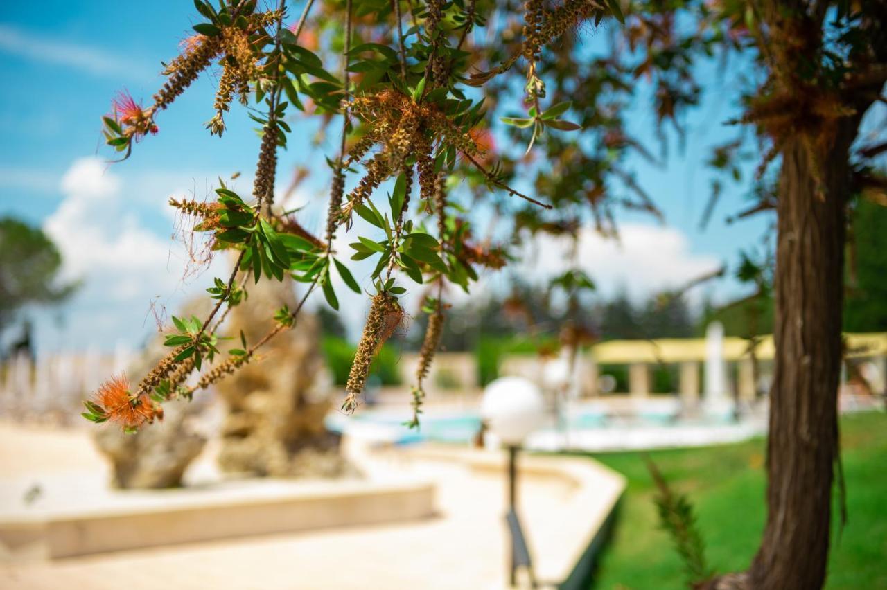 Villa Conca Marco Torre dell'Orso Dış mekan fotoğraf